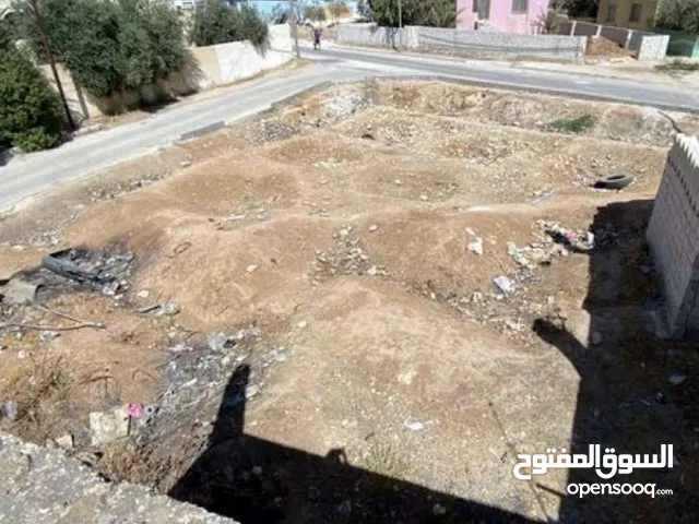Commercial Land for Sale in Amman Sahab