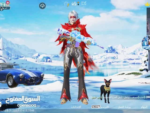 Pubg Accounts and Characters for Sale in Amman