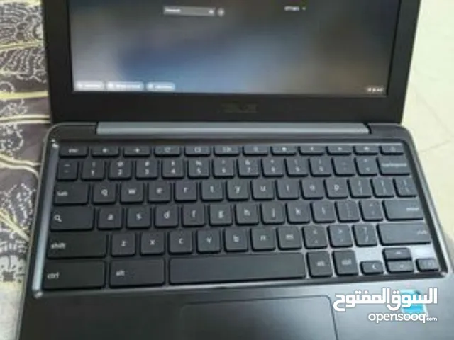 Acer crombook