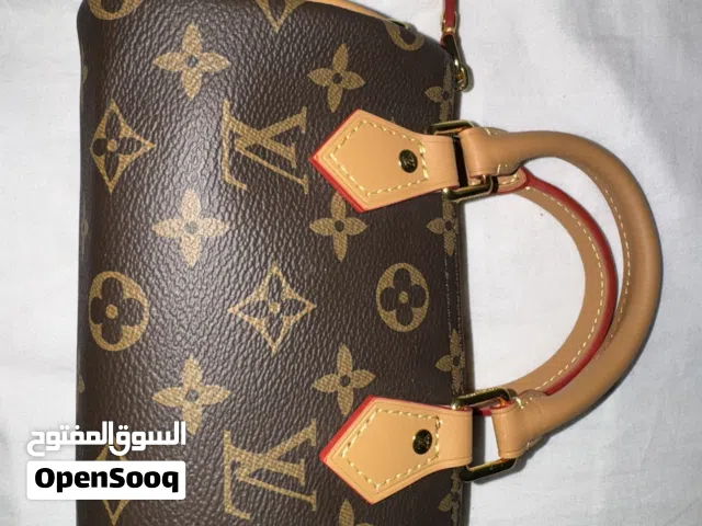 Louis Vuitton speedy- master quality