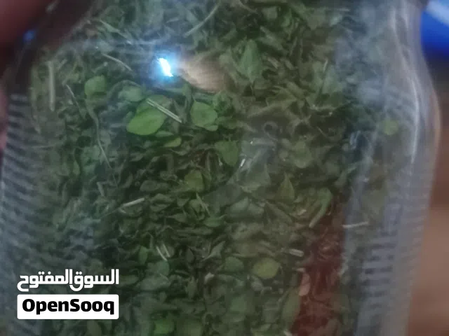 زعتر عماني جبلي وادي مستل الغرشة