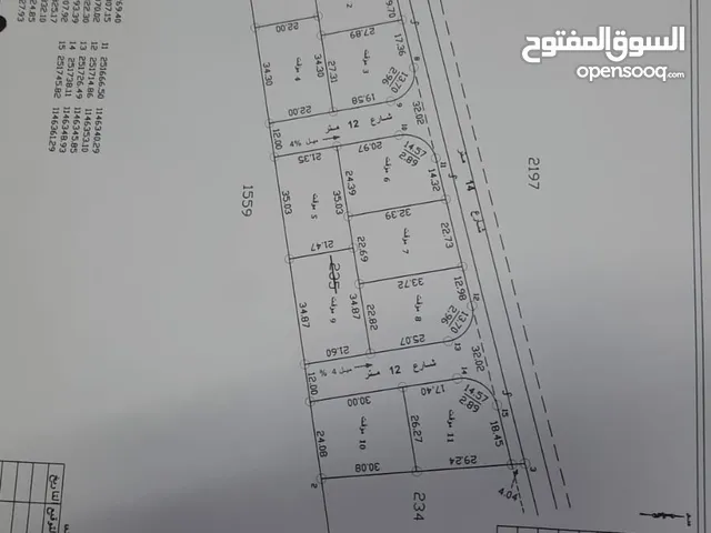 بدفعة 12500/البيضاء حوض العبوس /قوشان مستقل /سكن ب/مقابل الجمرك /عدة قطع مرتفعة ومستوية