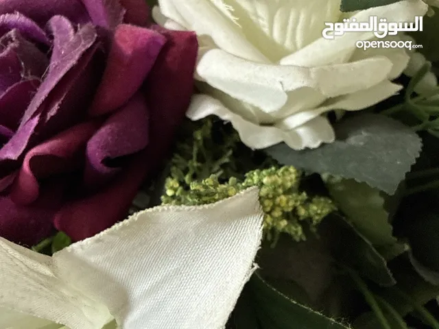 غرفة برايڤت