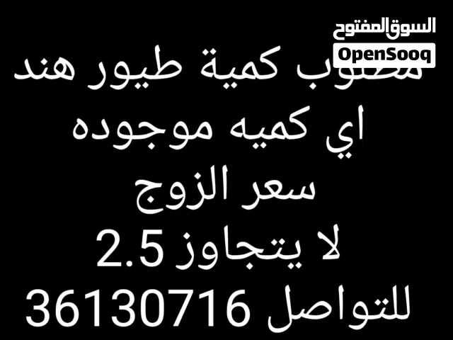 نشتري جميع انواع طيور