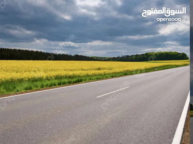 Residential Land for Sale in Baghdad Abu Dshir