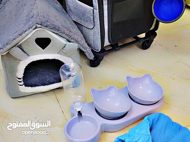 بيت قطط +جنطه قطط + ملحقاته