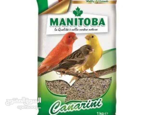 Canary birds food 1 kg high quality