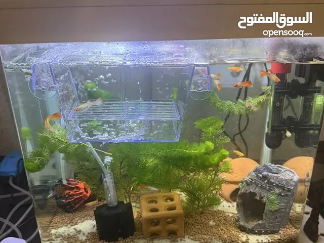حوض سمك شبه جديد