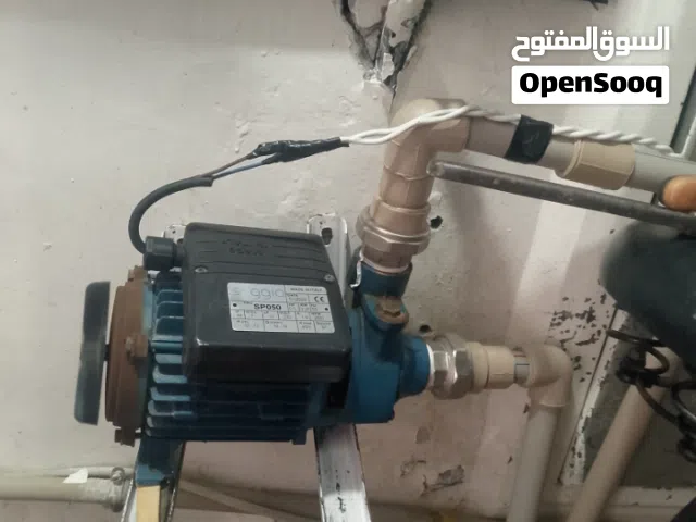 /عــــــــندي بومبة لَلَبيع /النوع /Soggia ايطاليا // وُتُـــــــعتبر شبه جديدة