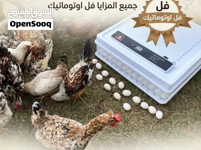 الفقاسة الذكية 130 بيضة دجاج وطني