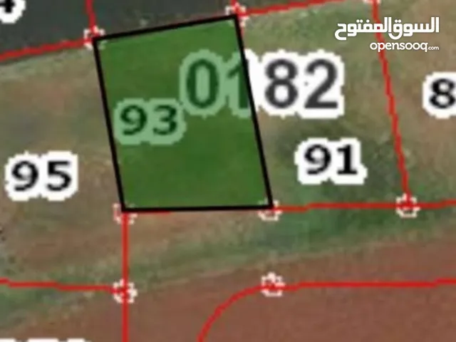 ارض رجوم سود شمالي خلف مخبز السنبله الحي الشرقي