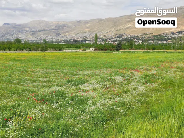 Farm Land for Sale in Rif Dimashq Al-Zabadani