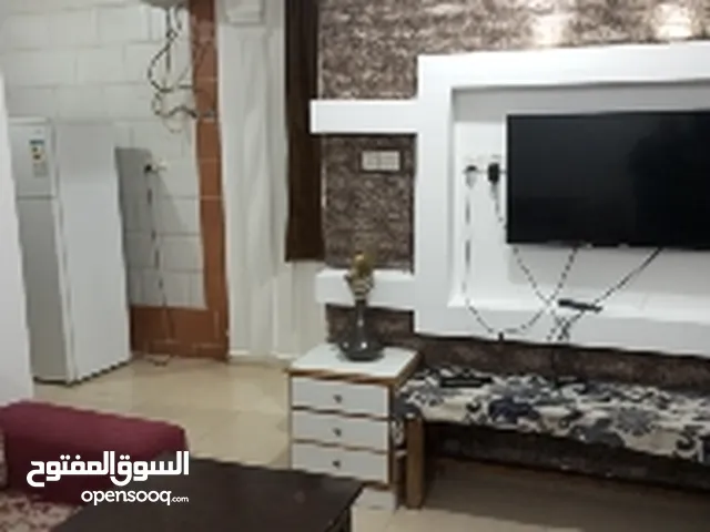 50 m2 Studio Apartments for Rent in Aqaba Al Mahdood Al Wasat