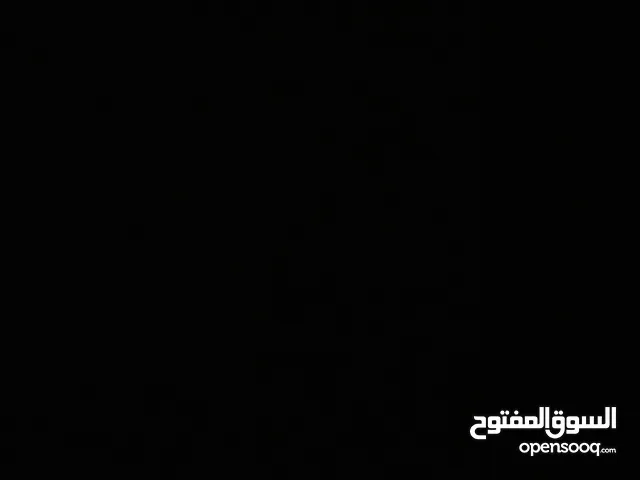 مطلوب كلب للتبني يكون صغير