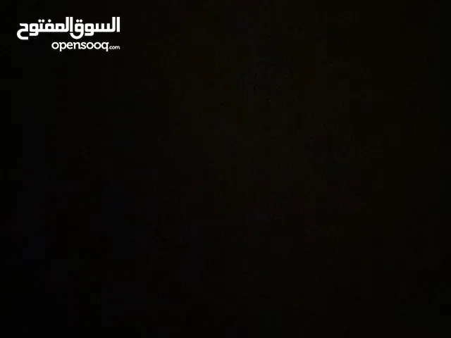 مطلوب كتن للتبني