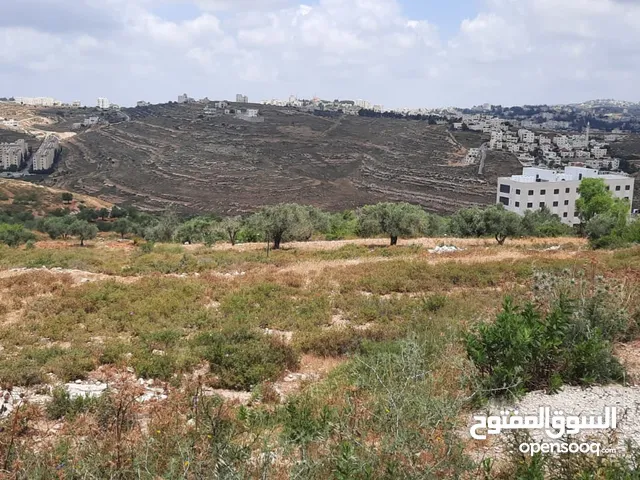 Residential Land for Sale in Ramallah and Al-Bireh Surda