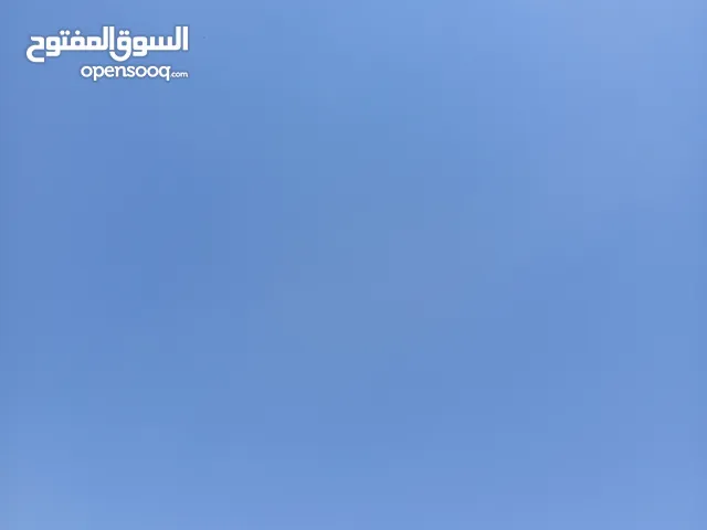 موجود 7 دنمات بصل موأني بعل للضمان في حرثا أربد
