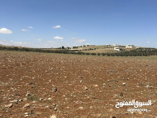 Mixed Use Land for Sale in Mafraq Bweida Al-Ilimat