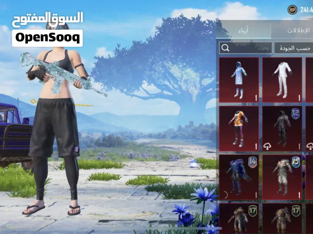 Pubg Accounts and Characters for Sale in Basra