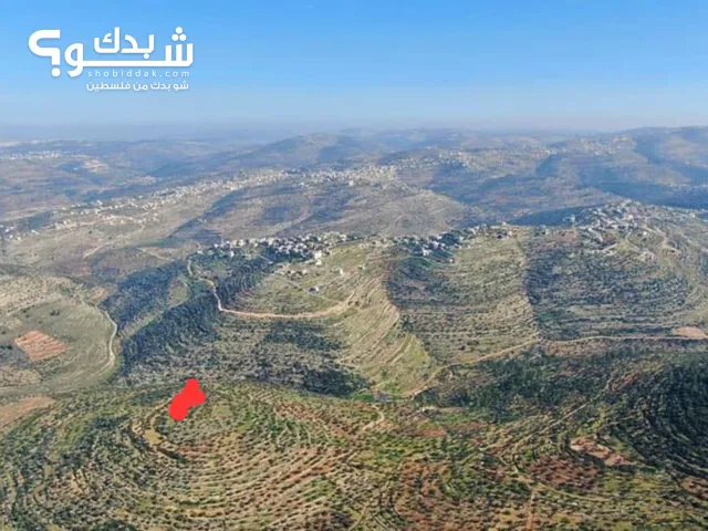 Mixed Use Land for Sale in Ramallah and Al-Bireh Dayr Al-Sudan