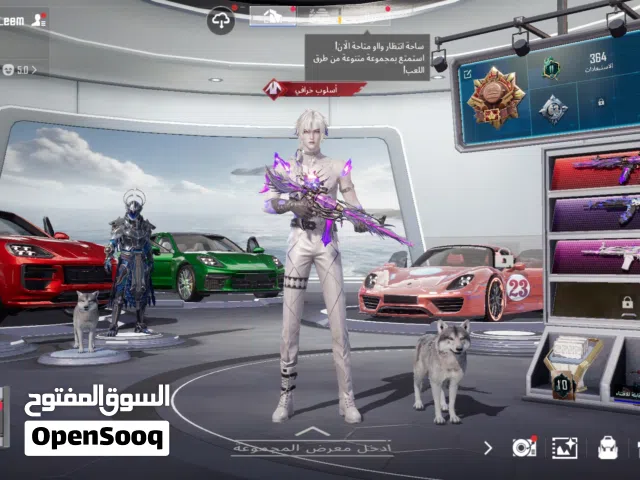 Pubg Accounts and Characters for Sale in Muscat