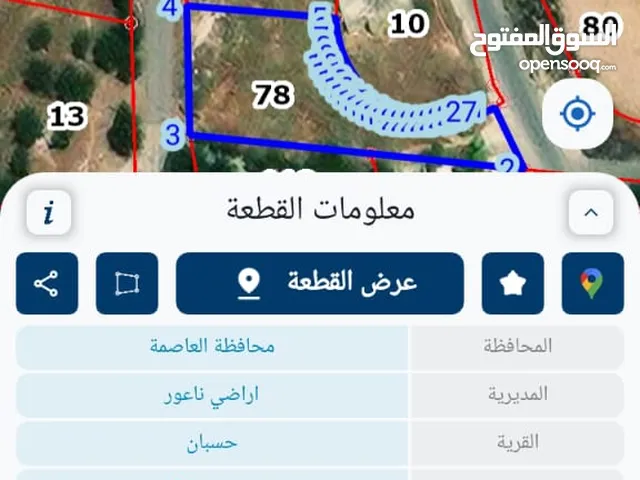 Commercial Land for Sale in Amman Husban