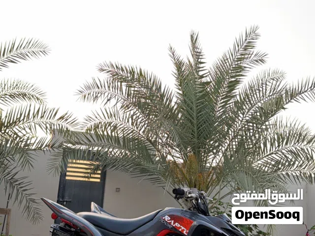 رابتر2024سبيشل اديشن
