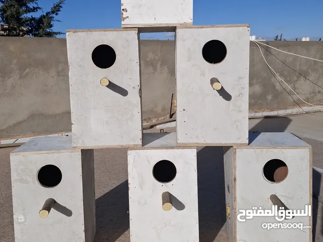 حضانات للببغاوات