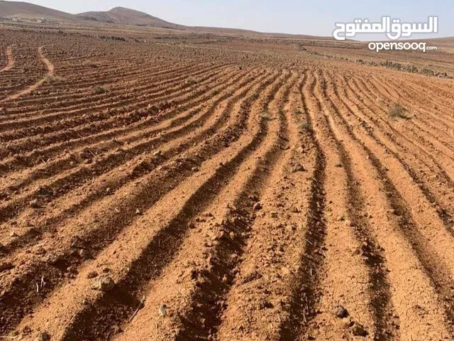 Farm Land for Sale in Mafraq Al-Badiah Ash-Shamaliyah