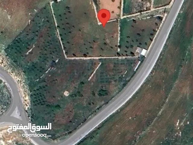 Residential Land for Sale in Jerash Soof