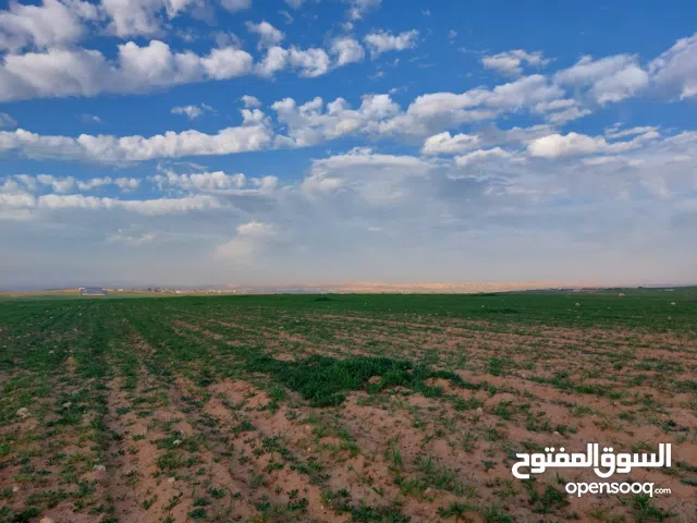 Farm Land for Sale in Irbid Other