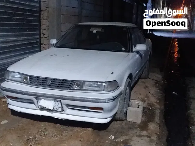 مارك كصيف 1992