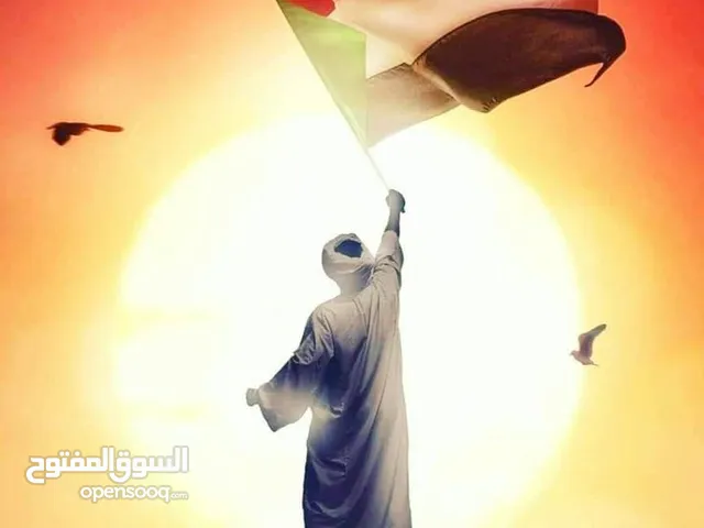 منزل مؤسس لعماره جبره مربع 18