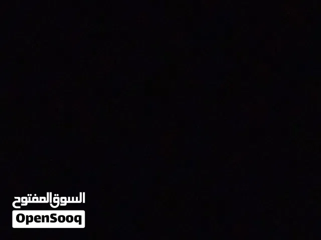 مطلوب كلب لتبني اي فصيله