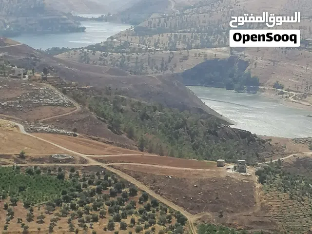 Farm Land for Sale in Jerash Al-Mastaba