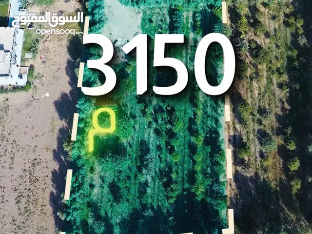بستان وعلى السريع الدولي في منطقة ابو غريب