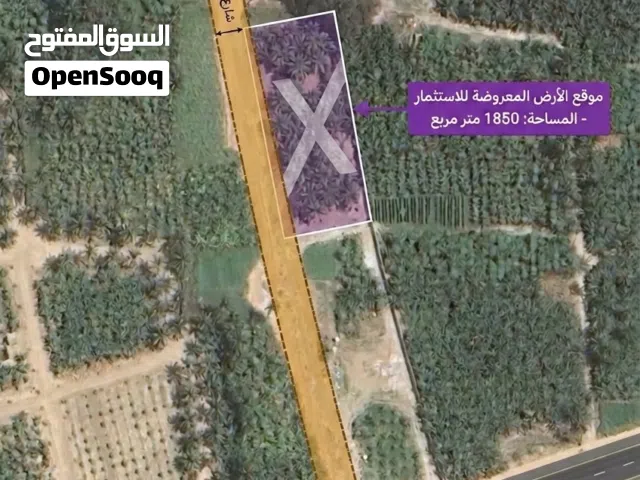 ارض زراعية ذات موقع استراتيجي للاستثمار في صلاله