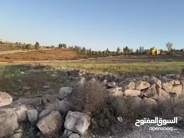 Farm Land for Sale in Mafraq Rhab