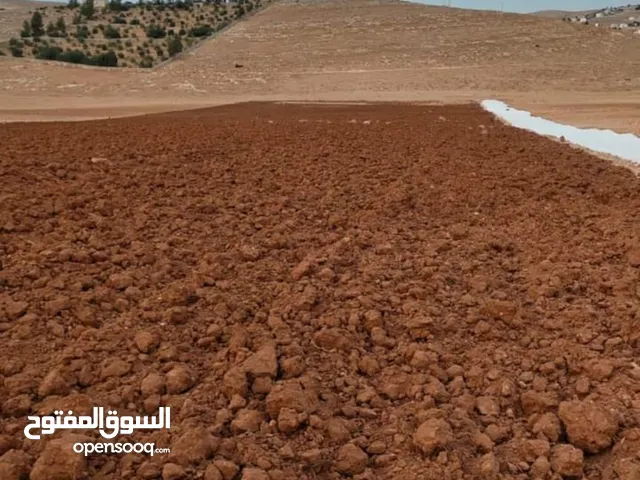ارض للبيع في المفرق عين والمعمريه المساحه 3500 متر قوشان مستقل