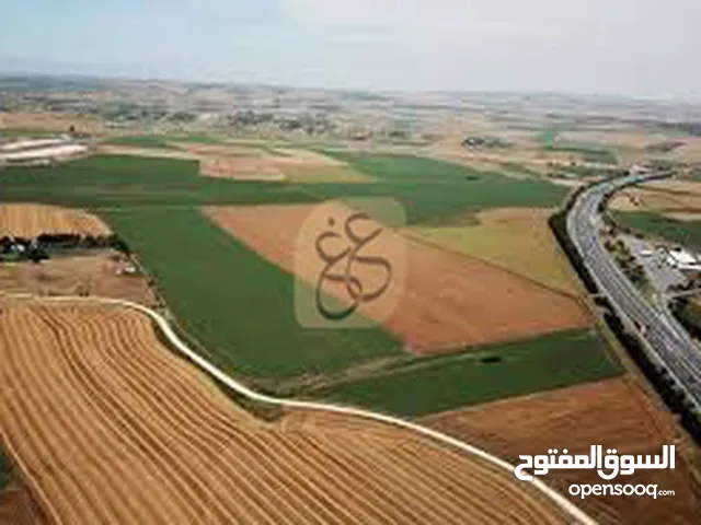 ارض للبييع كبر حوض مرج كبر القبلي بالقرب من جامعه اربد الاهليه