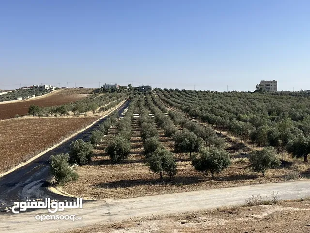 ارض للبيع في حسبان قريبة من شارع المطار ومرج الحمام على شارع مأدبا الغربي قريبة من الجامعة الألمانية