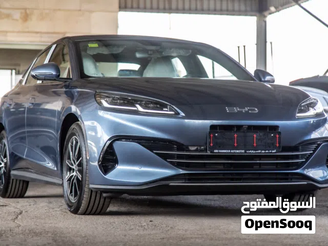 2025, بي واي دي, سيل