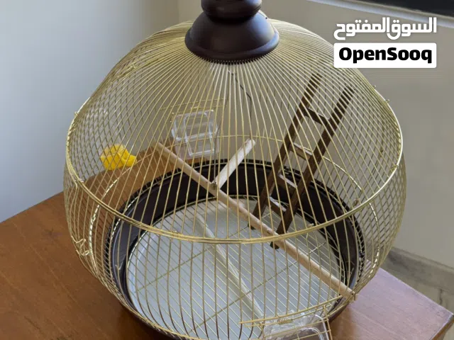 قفص طيور لون ذهبي استخدام اسبوعين فقط مع مأكلة طيور عدد 2 ومشربة ومرجوحة وسلم خشبي صغير
