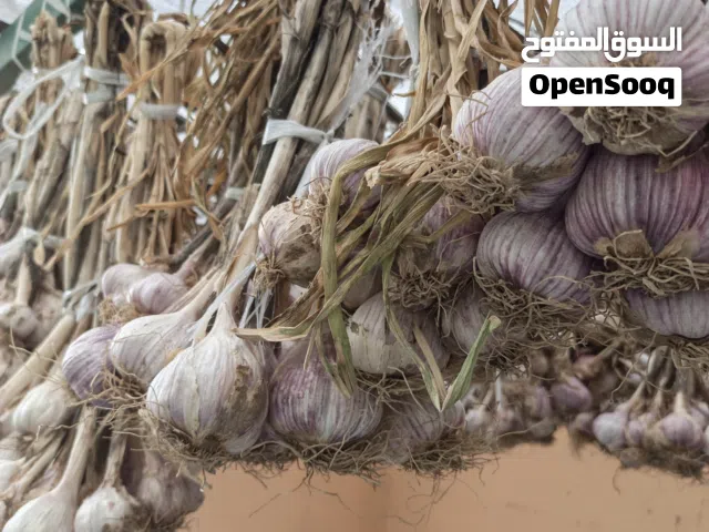 ثوم دار انتاج الظاهرة