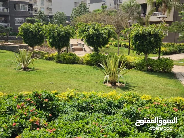 150 m2 3 Bedrooms Apartments for Rent in Cairo Madinaty