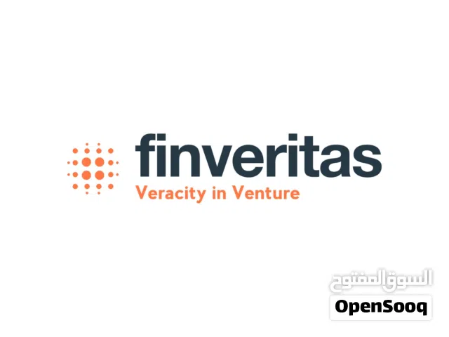 Finveritas Consulting