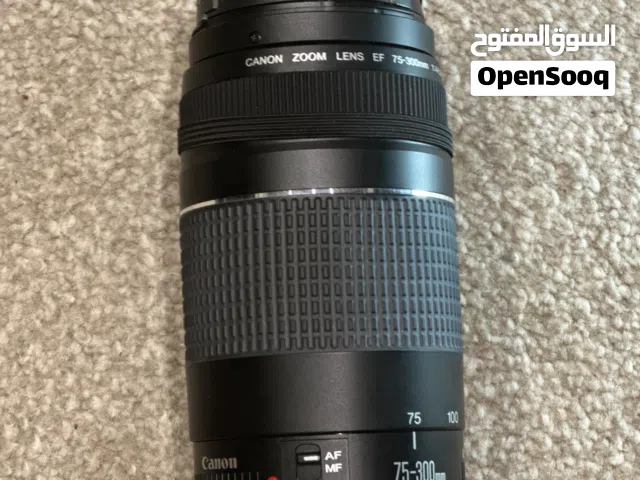 Canon Zoom Lens EF 75-300 mm1:4-5.6 III