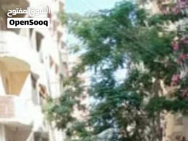25 m2 Studio Apartments for Sale in Alexandria Other