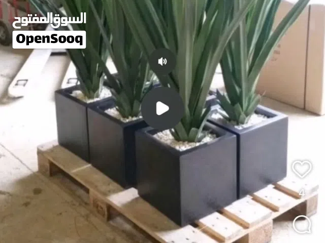 فايبر جلاس