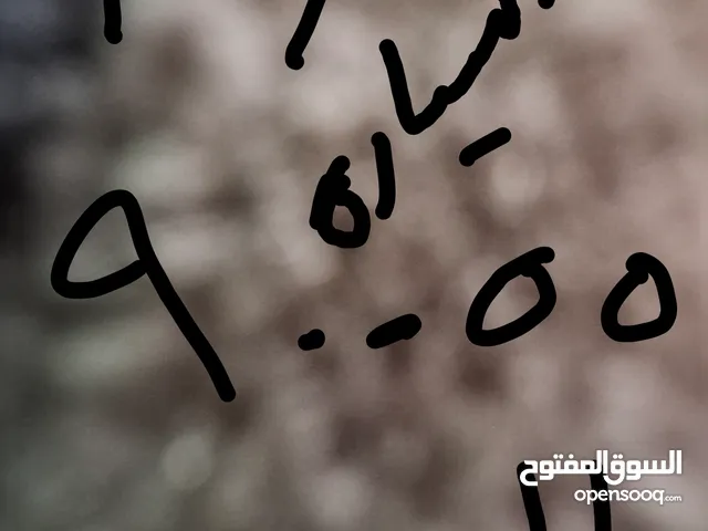 نمر للبيع بسعر حرق 90055\12 1500د